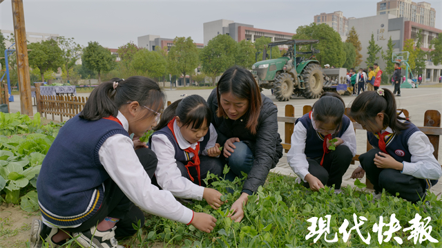 必赢:播种拖拉一体机开进校园扬州这个小学聘请农民当校外导师(图3)