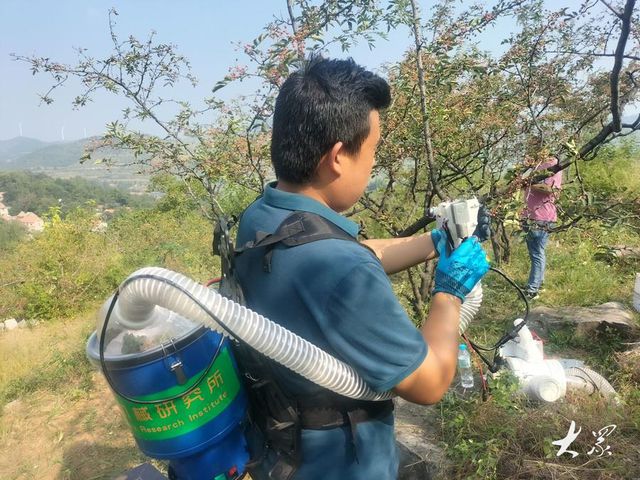 必赢国际：淄川破解农机应用难题丘陵山区也能“游刃有余”(图3)