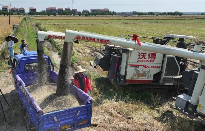 bwin网站：湖北江陵：新型农机装备助力油菜籽颗粒归仓(图3)