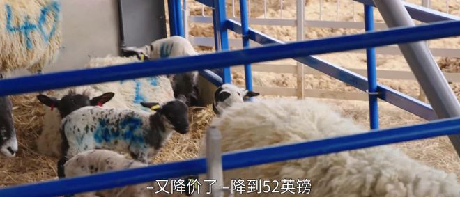 bwin网站：神作回归！4集直冲96！(图3)