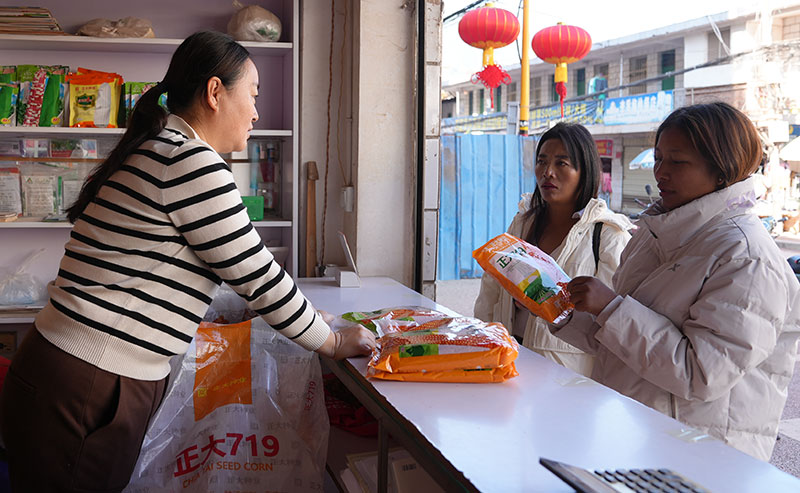 必赢：春耕备耕掀热潮(图3)