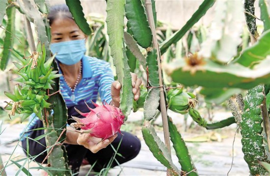 bwin网站：丰收如期而至(图1)