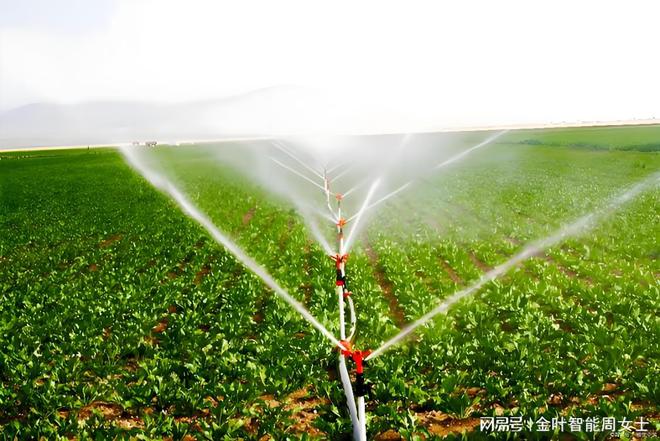 bwin网站：农田水肥一体化灌溉高效、环保、可靠的农业助手(图1)