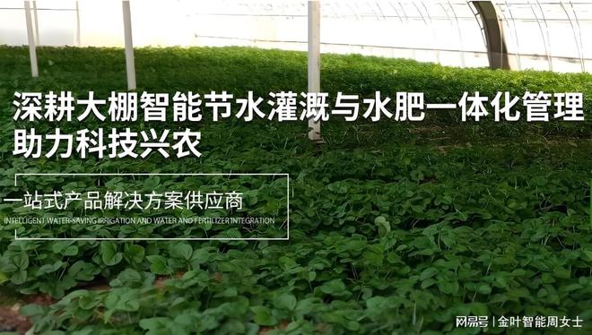 必赢国际：水肥一体化智能灌溉设备大棚水肥一体化智能灌溉系统优势分析(图1)