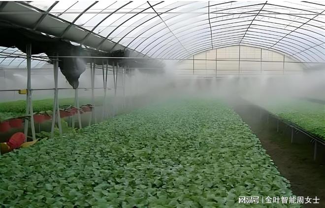 必赢国际：水肥一体化智能灌溉设备大棚水肥一体化智能灌溉系统优势分析(图4)
