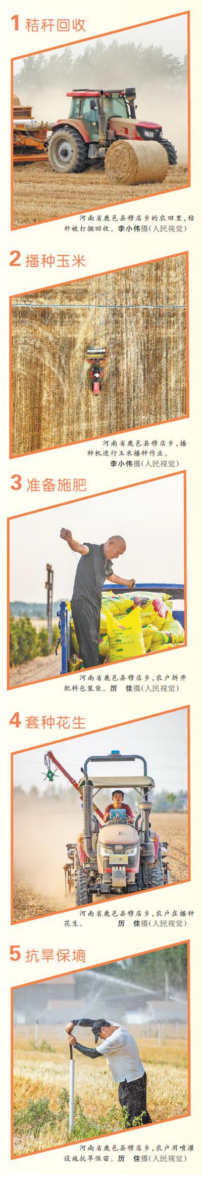 必赢国际：农资保障农机给力农技跟上夏种全面展开（新时代画卷）(图7)