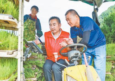 必赢国际：农资保障农机给力农技跟上夏种全面展开（新时代画卷）(图2)