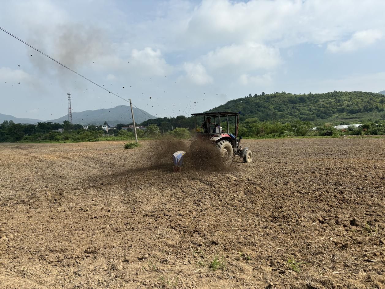 必赢国际：宜秀区大龙山镇百华社区：“荒田”变“良田”振兴“致富经”(图1)