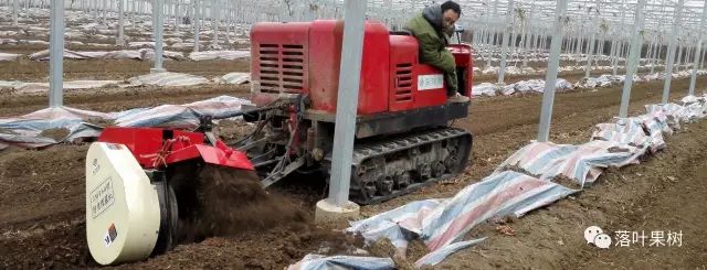 必赢：【葡萄】葡萄机械化生产装备一览很好很强大！(图10)