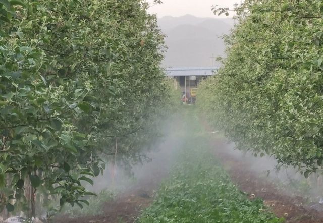 必赢：凤翔区：发挥基地带动作用助推乡村产业振兴(图3)