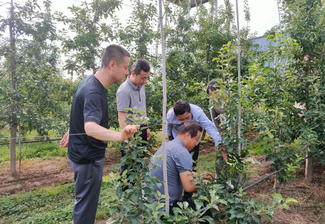 必赢：凤翔区：发挥基地带动作用助推乡村产业振兴(图2)