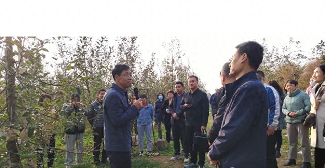 必赢：凤翔区：发挥基地带动作用助推乡村产业振兴(图1)
