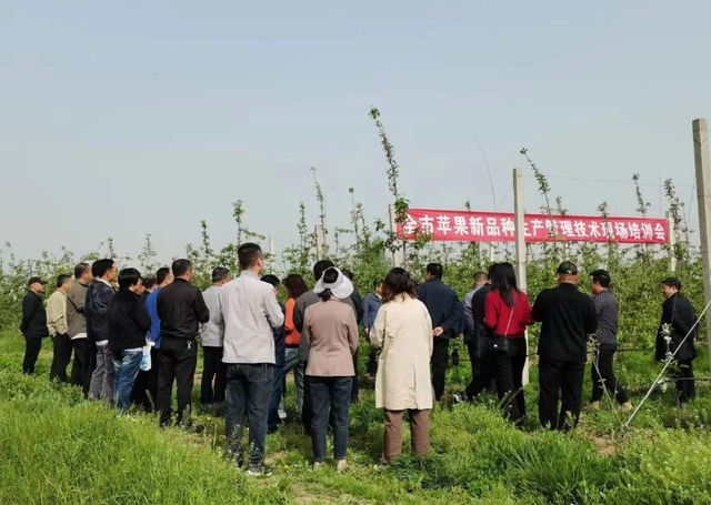 必赢：凤翔区：发挥基地带动作用助推乡村产业振兴(图5)