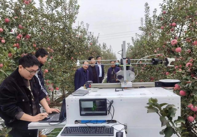 必赢：凤翔区：发挥基地带动作用助推乡村产业振兴(图4)