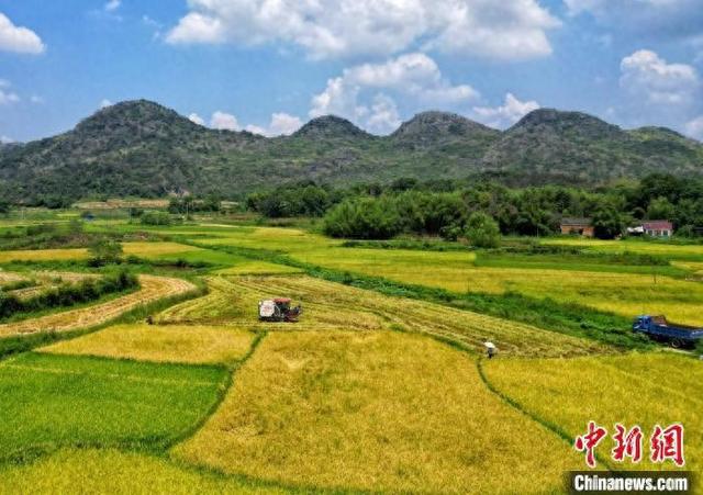 必赢：湖南东安机械化种植水稻智慧农业大显身手(图1)