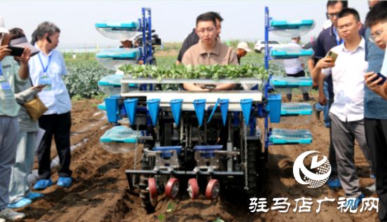 必赢国际：驻马店市科研人员到第四届全国蔬菜生产农机农艺融合现场观摩与交流会观摩学习(图2)