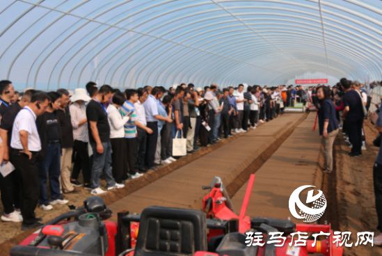必赢国际：驻马店市科研人员到第四届全国蔬菜生产农机农艺融合现场观摩与交流会观摩学习(图3)