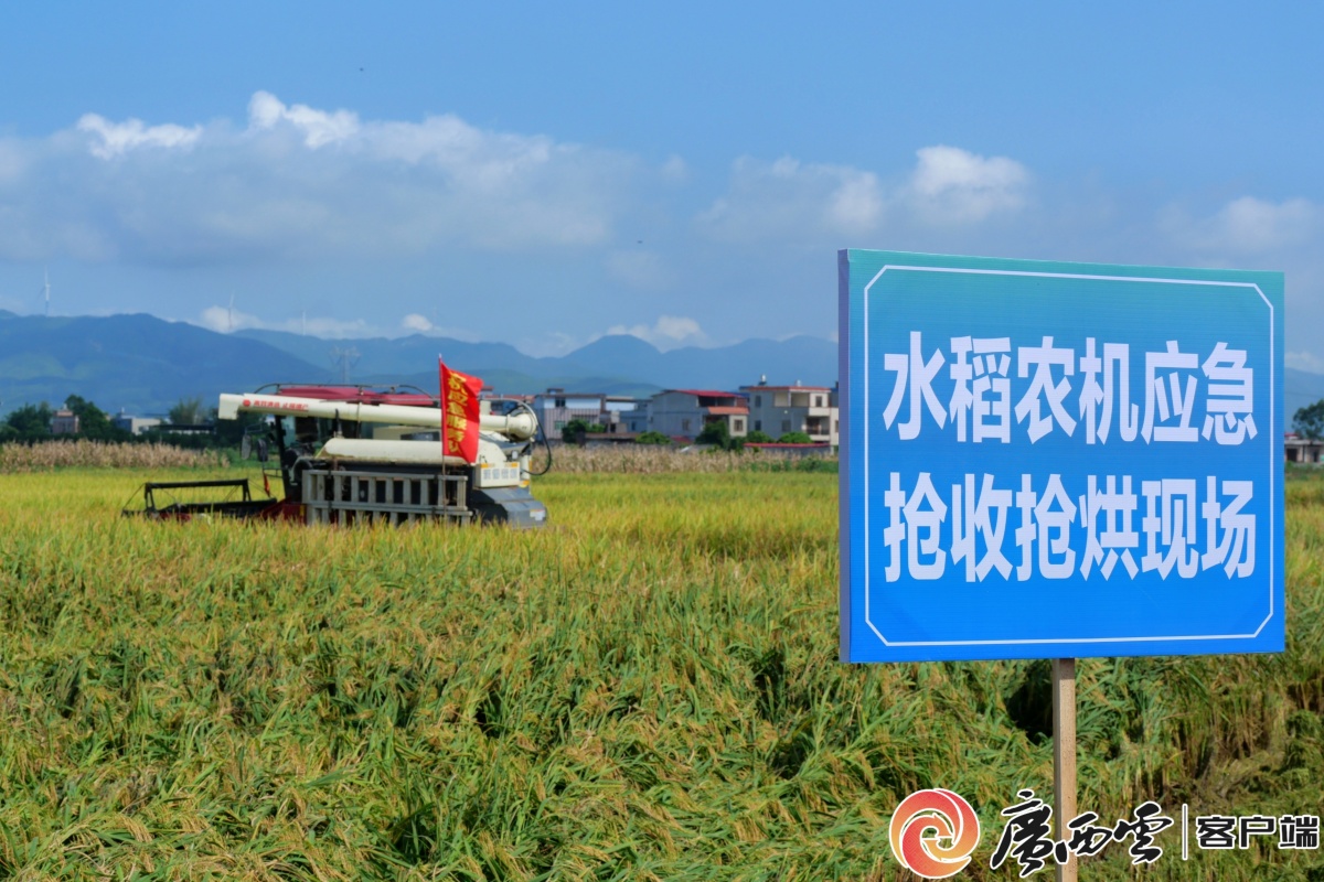 bwin网站：无人农场“慧”种地！全区智慧农业、农机应急救灾现场会在贵港市举办(图5)