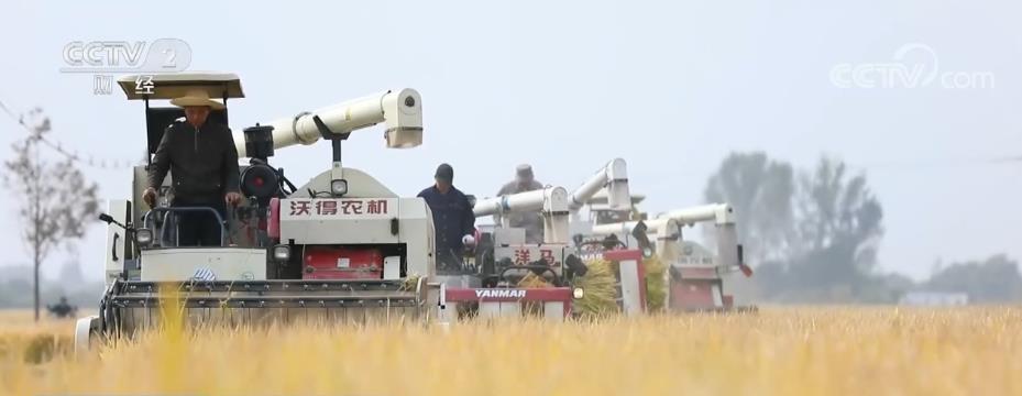 必赢国际：4000多种国产农业机械装备遍布田间地头(图3)