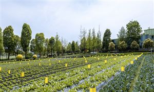 必赢国际：强科技端牢“中国饭碗”2023农业机械市场现状及前景分析(图10)