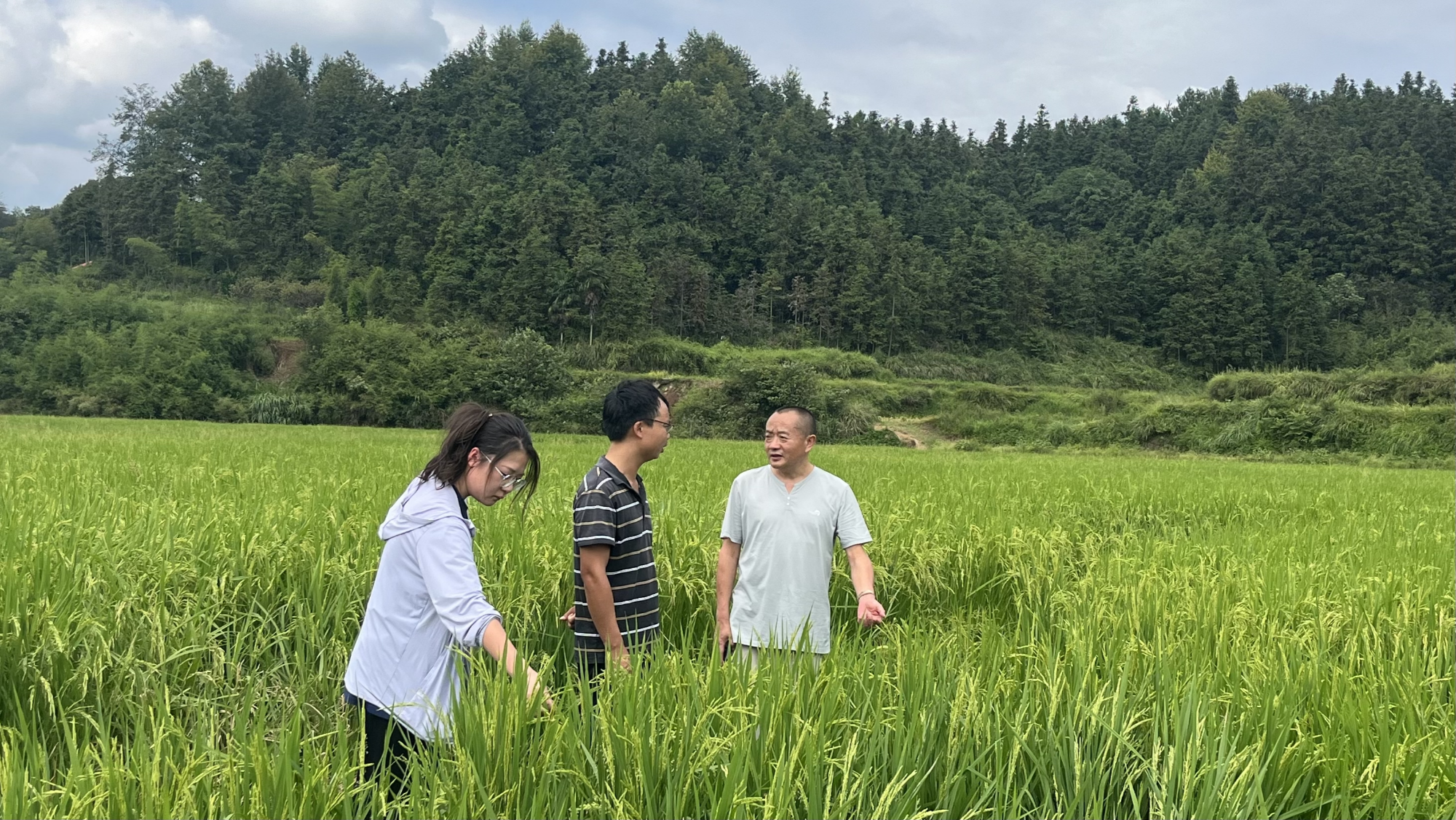 bwin网站：惠农担“贷”动“三农”实体经济蓬勃发展助力产业兴旺(图2)