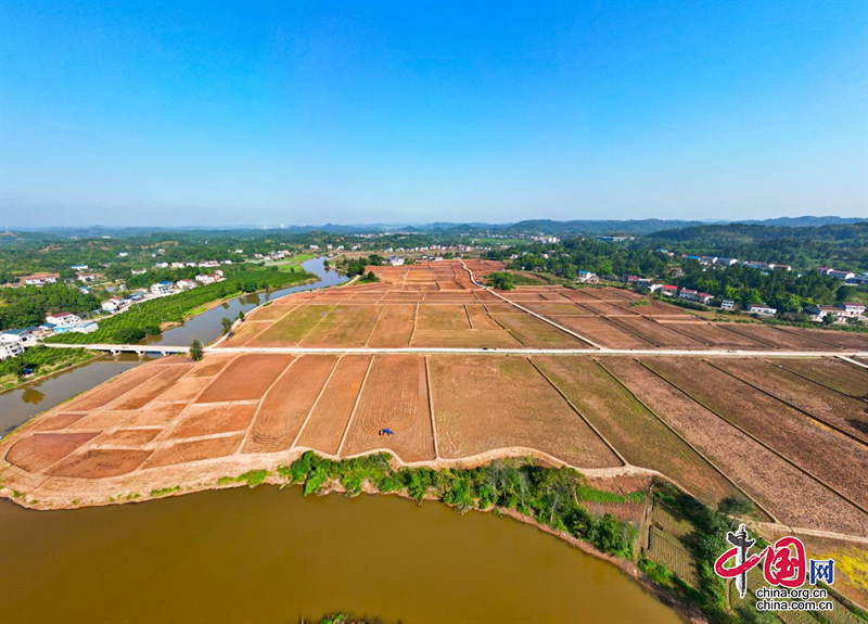 必赢：资阳安岳：建成1183万亩高标准农田绘就农业发展好“丰”景(图1)