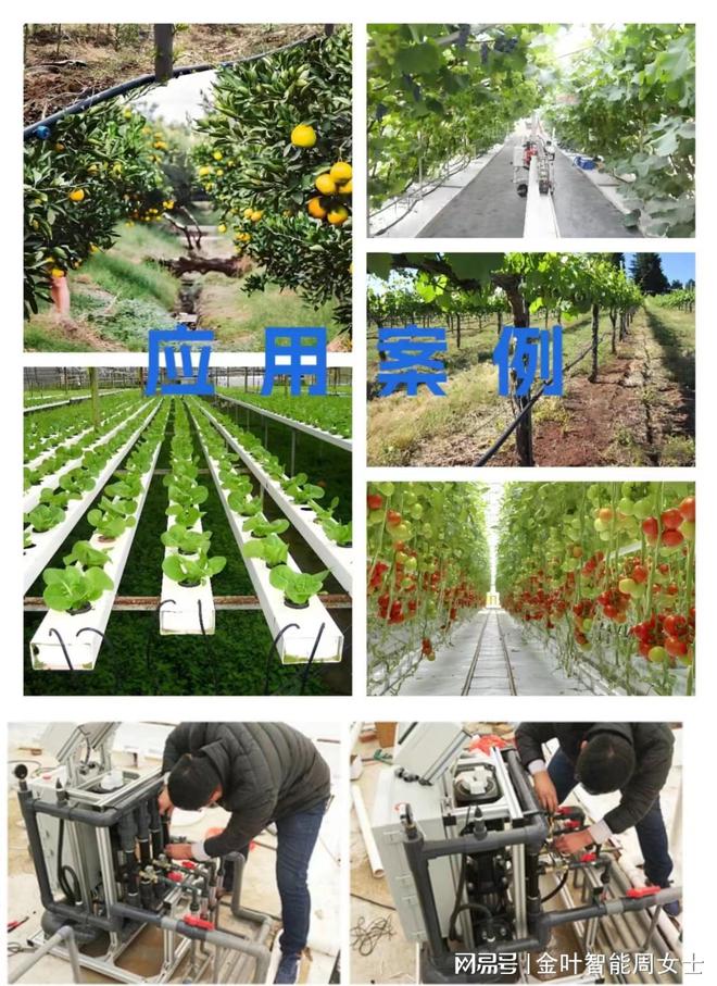 bwin网站：智能水肥一体化施肥器：现代农业的高效助手(图3)