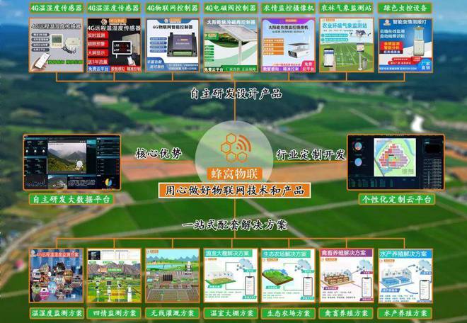 必赢：蜂窝物联智慧灌溉系统打造节水高产的绿色田野(图4)