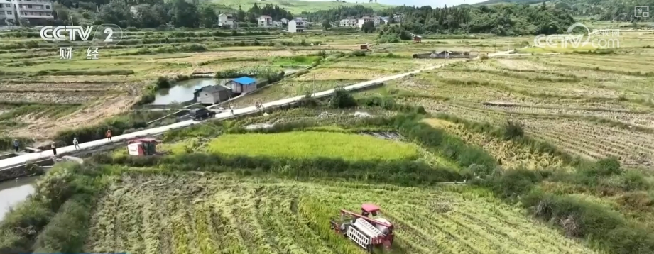 稻香果甜“丰”景美各地喜迎“甜蜜”收获(图1)