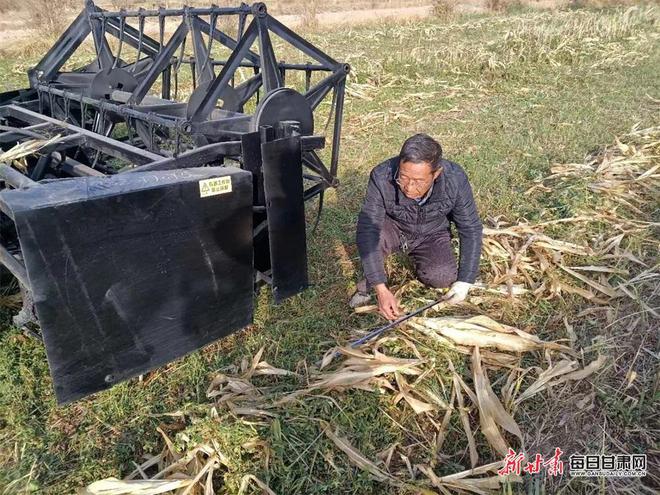 必赢国际：匠心筑路技能为民敦煌农民王成贵的农机创新之路(图1)