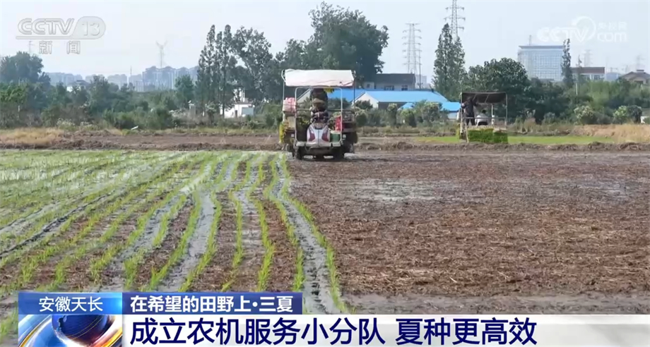 必赢国际：机械科技齐助力各地秋粮作物播种和田间管理有序进行(图1)
