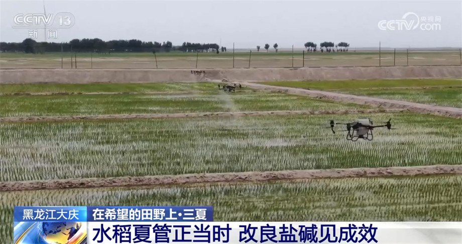 必赢国际：机械科技齐助力各地秋粮作物播种和田间管理有序进行(图3)
