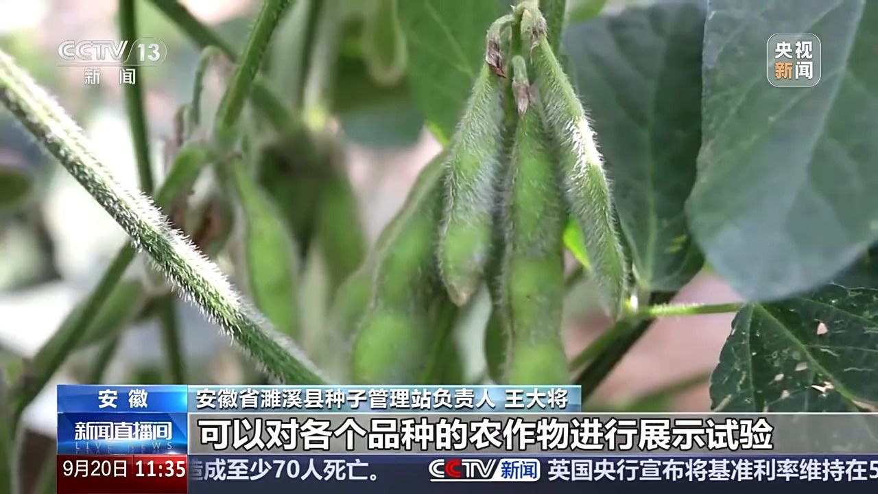 bwin网站：丰收背后的隐形力量！这里有走出小县城的“种子选手”(图7)