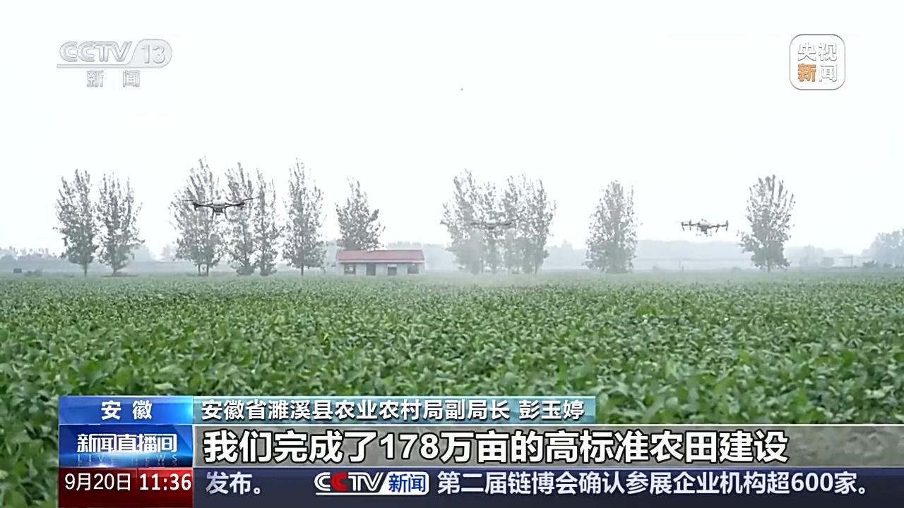 bwin网站：丰收背后的隐形力量！这里有走出小县城的“种子选手”(图9)
