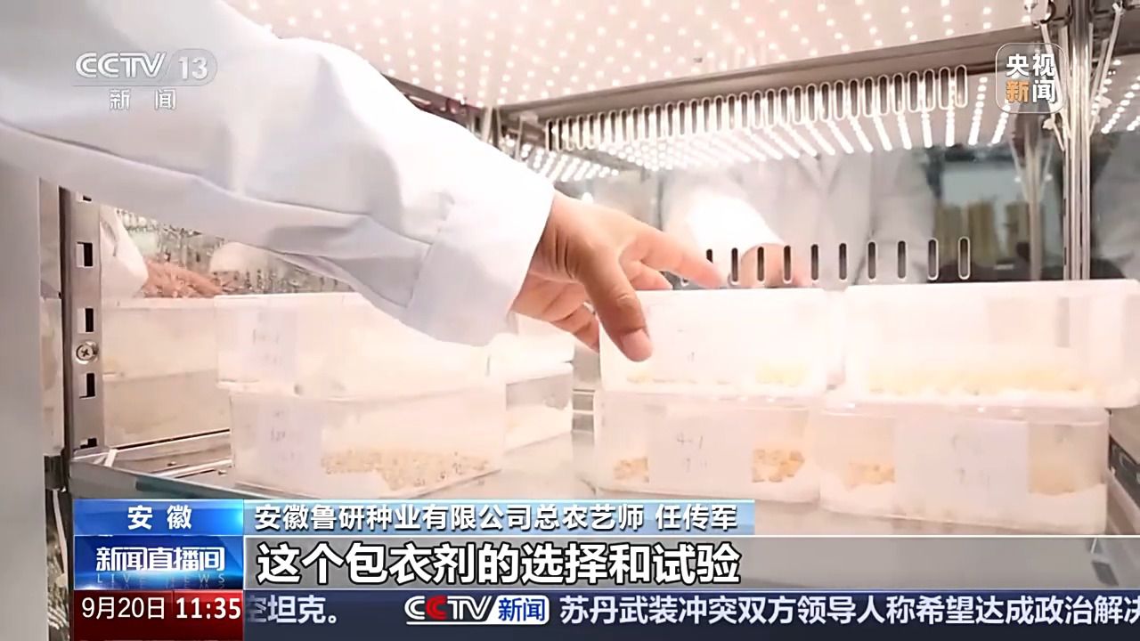 bwin网站：丰收背后的隐形力量！这里有走出小县城的“种子选手”(图6)