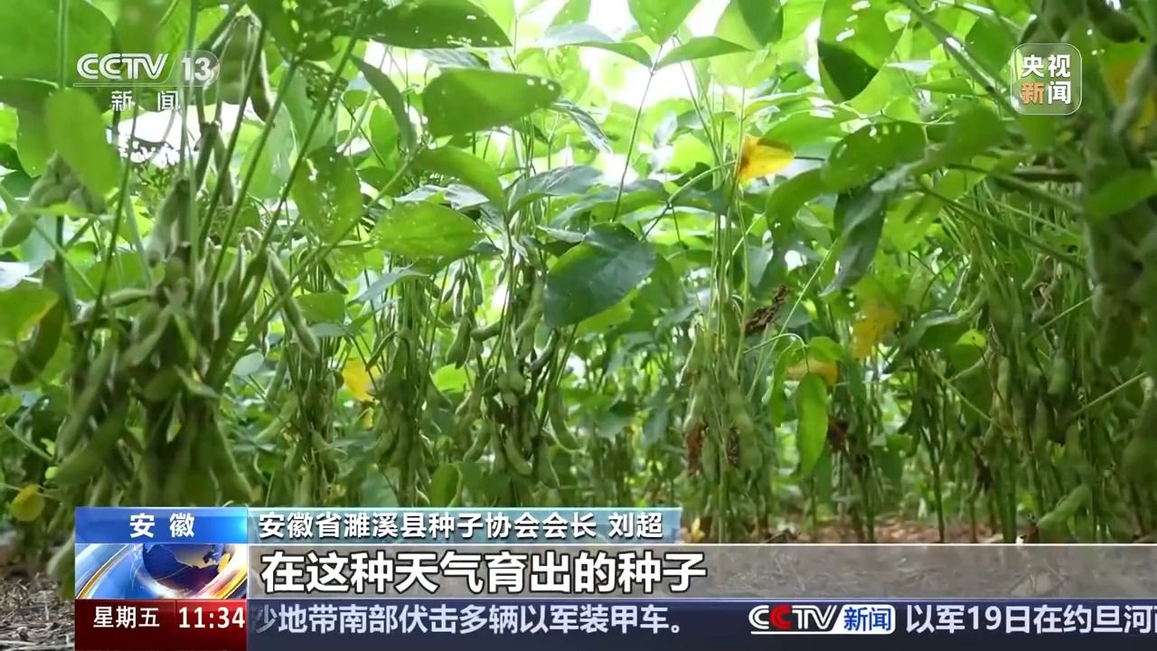 bwin网站：丰收背后的隐形力量！这里有走出小县城的“种子选手”(图5)