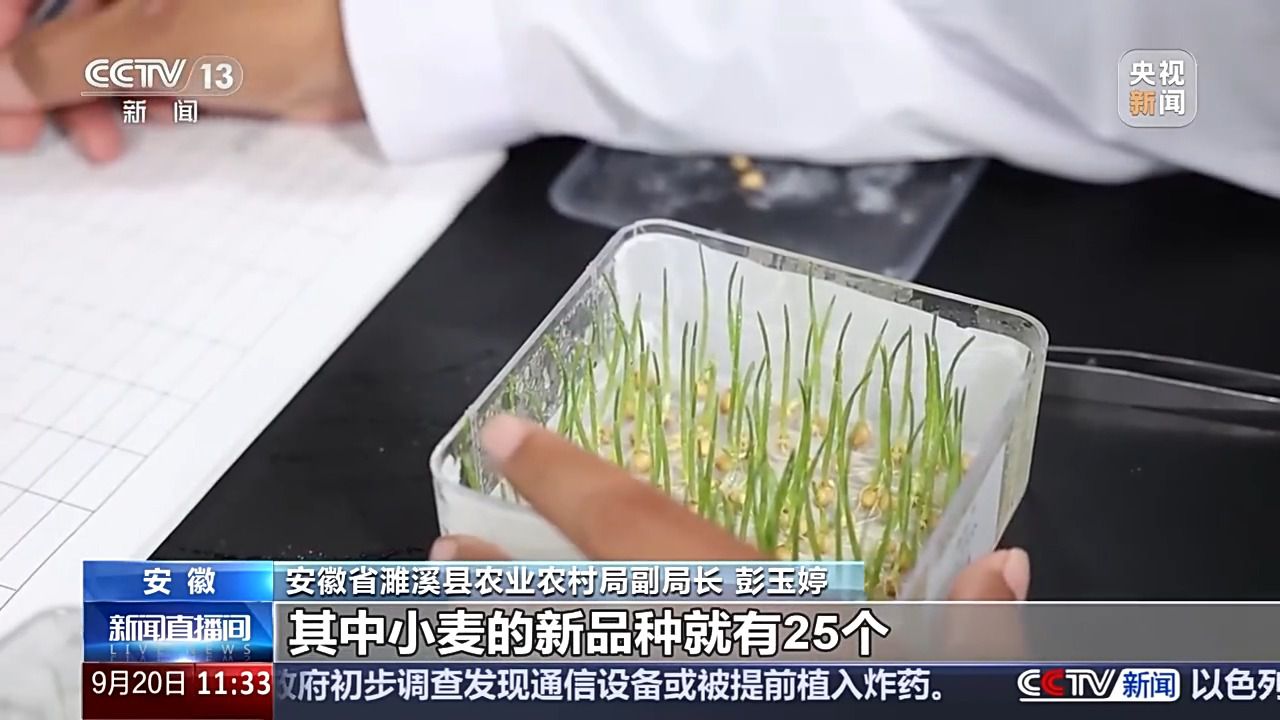 bwin网站：丰收背后的隐形力量！这里有走出小县城的“种子选手”(图4)