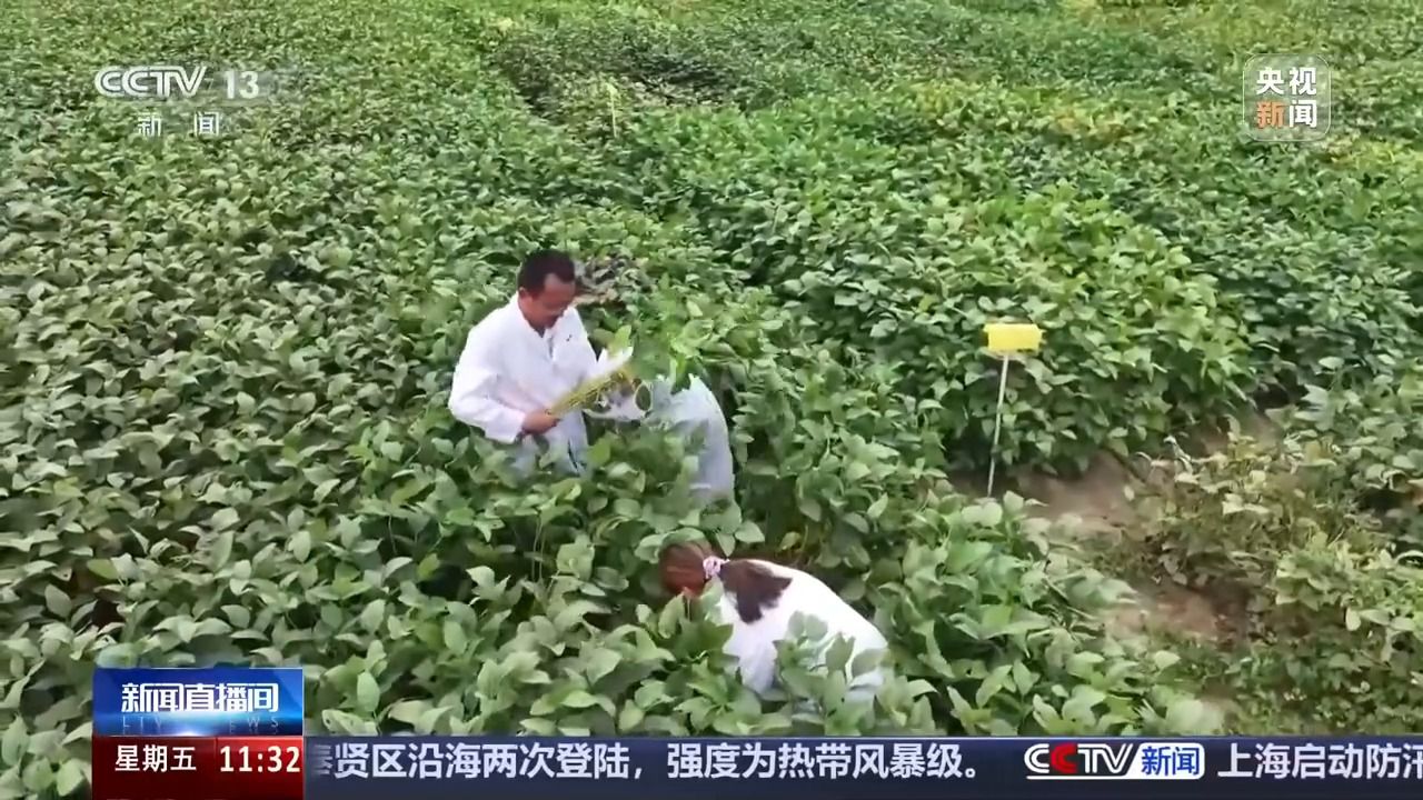 bwin网站：丰收背后的隐形力量！这里有走出小县城的“种子选手”(图1)