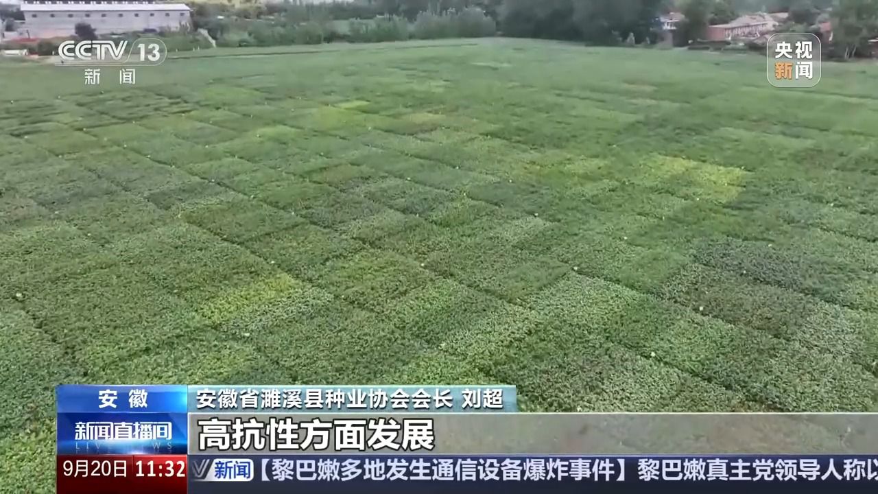 bwin网站：丰收背后的隐形力量！这里有走出小县城的“种子选手”(图2)