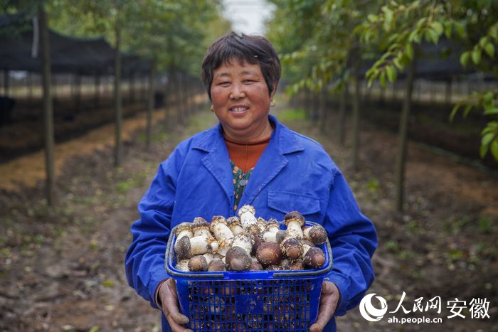 必赢：新征程·江淮行｜蒙城：科技装备硬支撑(图6)