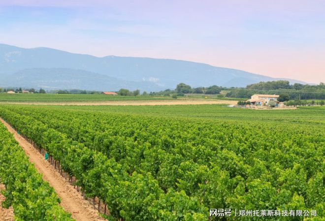 必赢国际：这款智能施肥机若普及我国每年减少2000万吨化肥使用！(图2)