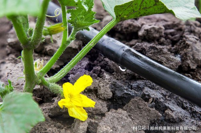 必赢国际：这款智能施肥机若普及我国每年减少2000万吨化肥使用！(图3)
