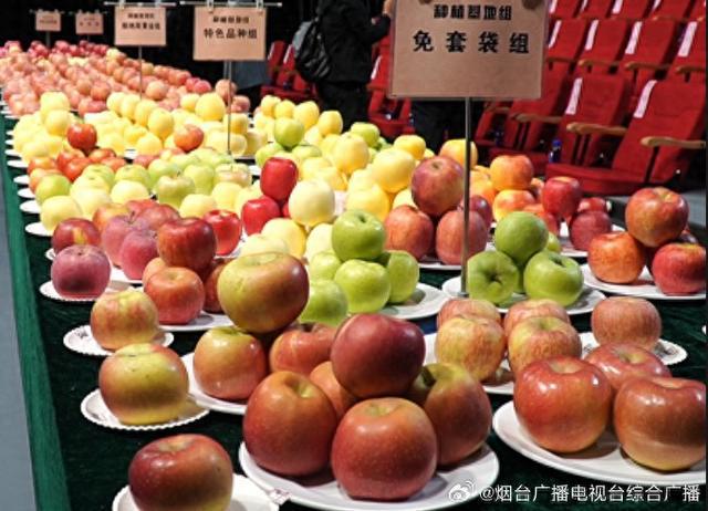 bwin网站：果蔬全产业链的最新成果将亮相这一盛会！(图1)