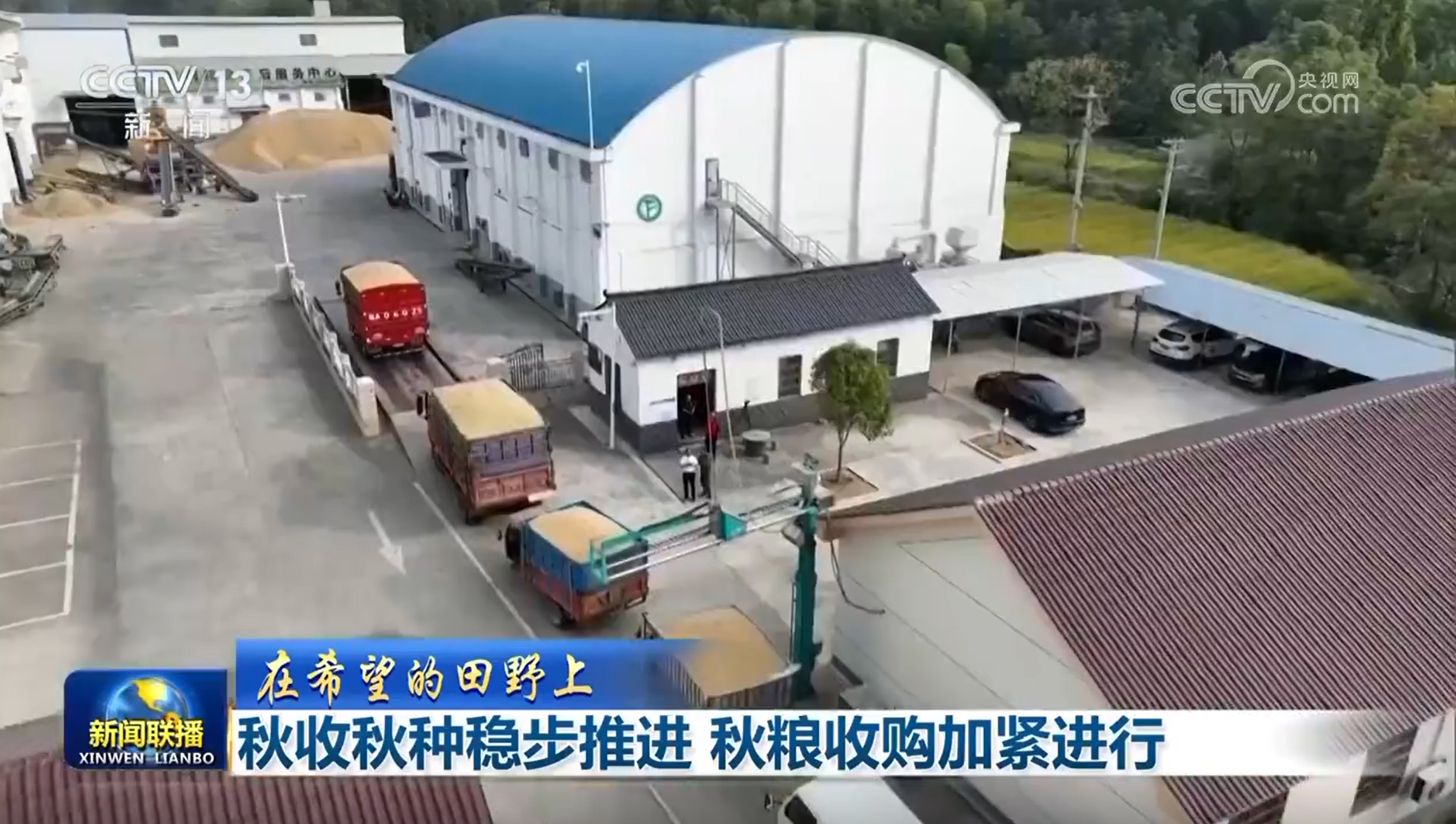 必赢国际：【在希望的田野上】秋收秋种稳步推进秋粮收购加紧进行(图4)