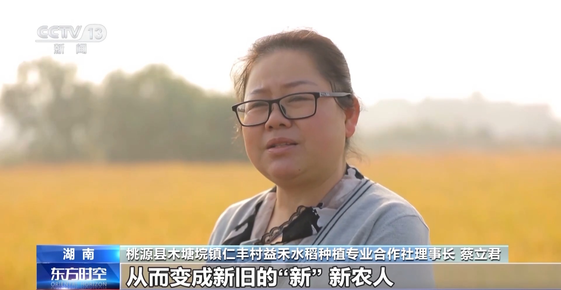 bwin网站：一线调研丨“辛农人→新农人”农机“换挡”如何发挥作用？(图8)