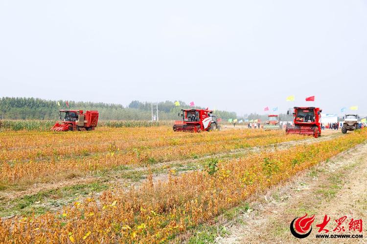 必赢国际：青岛西海岸新区：农业现代化向“新”而行农机报废更新为沃野添动能(图2)
