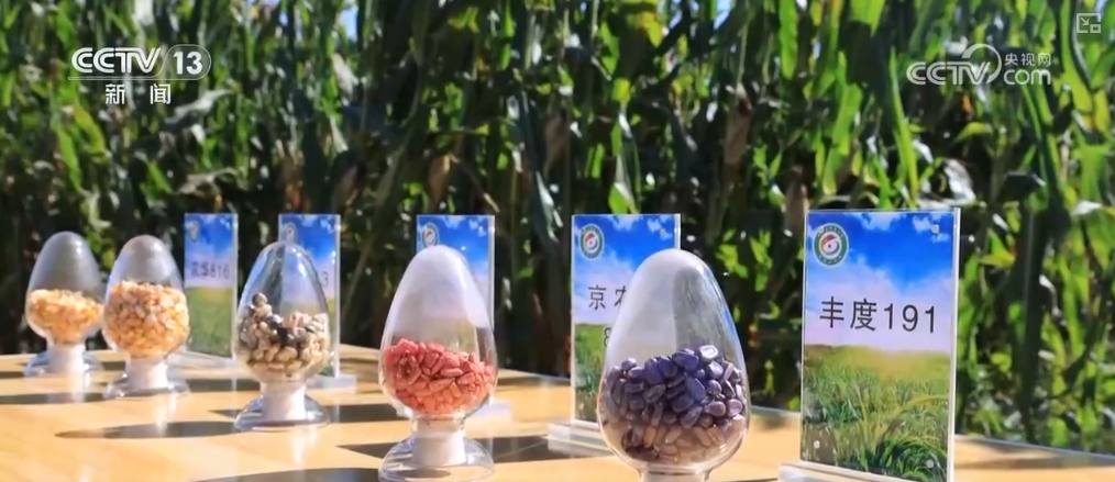 必赢国际：“白”→“绿”→“金”改良！好“丰”景里科技含量足(图9)