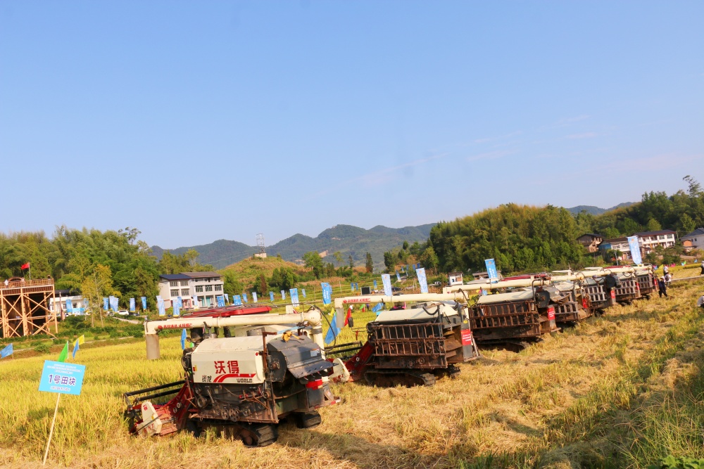 bwin网站：2024年川渝丘陵山区农机操作职工职业技能大赛暨产业青年立功竞赛活动在四川省达州市达川区举行(图2)