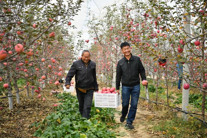 必赢：时光相册丨从田间到云端一组照片看丰收“变奏曲”(图4)