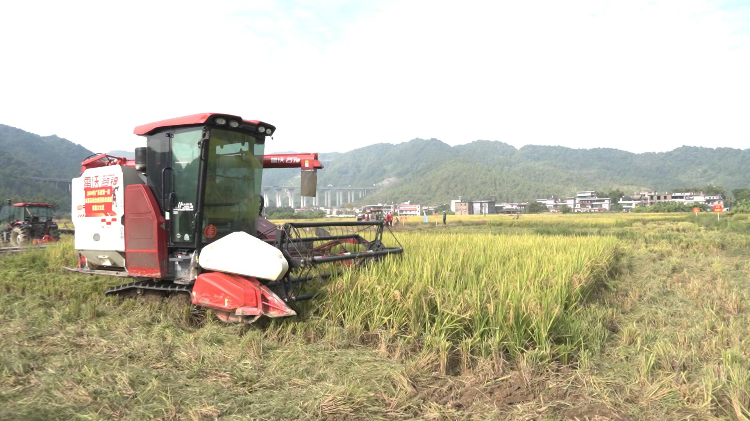 必赢：节粮减损颗粒归仓！2024年广东省第一届农事运动会晚稻机收减损技能大比武活动在韶关举行-广东省农业农村厅(图2)